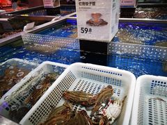 水产区-盒马鲜生(红莲店)