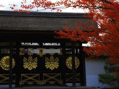 -醍醐寺