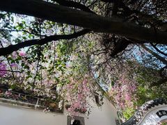 -深圳国际园林花卉博览园