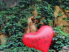 -将军关探险漂流