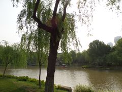 -堤角公园