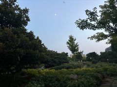 -郑州植物园