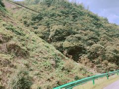 -将军关探险漂流