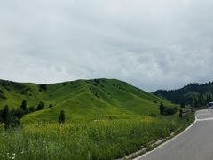 -新疆那拉提国家旅游度假区