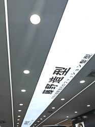 -藤野造型烫染