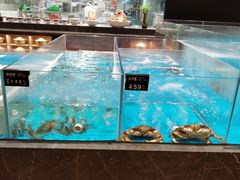 -艳阳天·非遗楚菜(武汉客厅店)