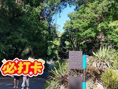 -墨尔本皇家植物园