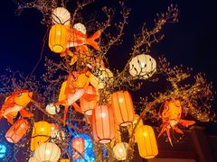 -龙湖星悦荟(颐和店)