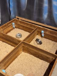 -酷嗒动物文化乐园(cutezoo西溪乐天城店)