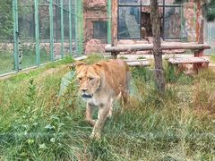-鄂尔多斯野生动物园