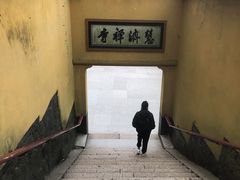 -普陀山风景区-佛顶山