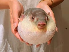 -永安鱼庄·镇江菜(东吴路店)