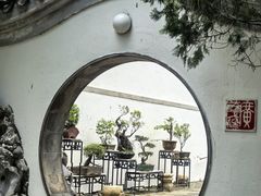 -九龙寨城公园