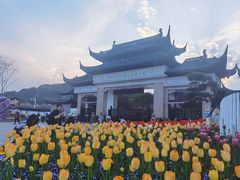 -苏州上方山国家森林公园