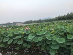 -云龙湖旅游景区