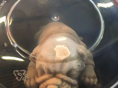 -老佛爷铜炉蛙锅(海岸城店)