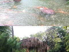 -厦门日月谷温泉渡假村