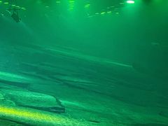 -白鹤梁水下博物馆