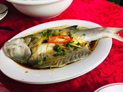 -蛇口康乐快餐鱼仔档(翠苑小区店)