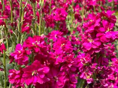 -徐家汇源景区-衡山公园