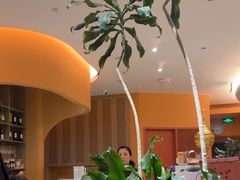 -美泰·Mangothai·清迈云街(天空之城店)