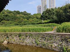 -龙头寺公园