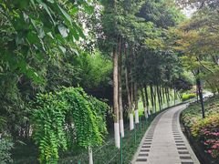 -龙头寺公园