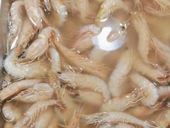 -和源祥·日照菜扛把子(万平口一店)