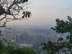 -惠山国家森林公园