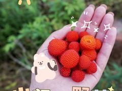 -南京市无想山景区