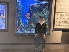 -成都浩海立方海洋公园