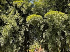 -东坡赤壁风景名胜区