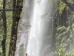 -莫里热带雨林景区