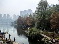 -重庆彩云湖湿地公园