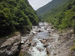 -黑河国家森林公园