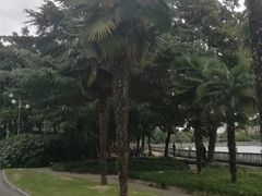 -南通濠河风景名胜区