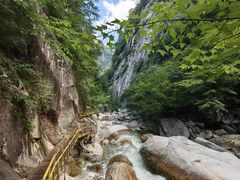 -青峰峡国家森林公园