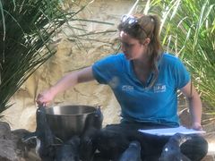 -悉尼海洋生物水族馆