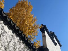 -新万鑫银丝面·非遗无锡味(惠山古镇店)