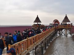 -红海滩国家风景廊道