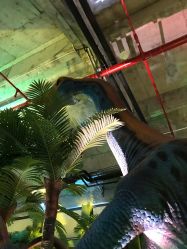 -恐龙探索乐园(磁器口店)