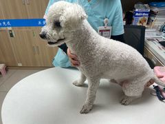 -艾贝尔宠物医院 ·中兽医·宠保定点(北门桥店)