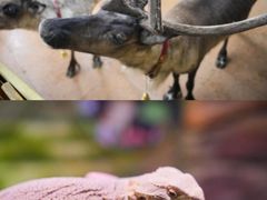 -正佳雨林生态植物园