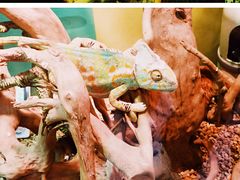 -海合安武汉极地海洋公园