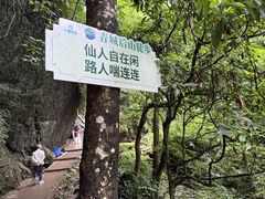 -青城山