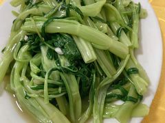 -金豪沙姜鸡饭店(昌平路店)