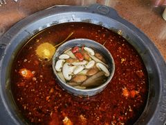 -巴倒烫陆派重庆火锅(南山店)