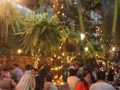 -The Grounds of Alexandria