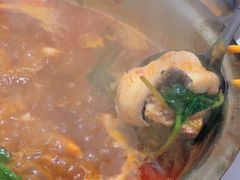 -重庆特色冷锅鱼(武大店)
