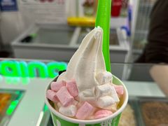 -Salud撒露欧洲冻酸奶(五道口购物中心店)